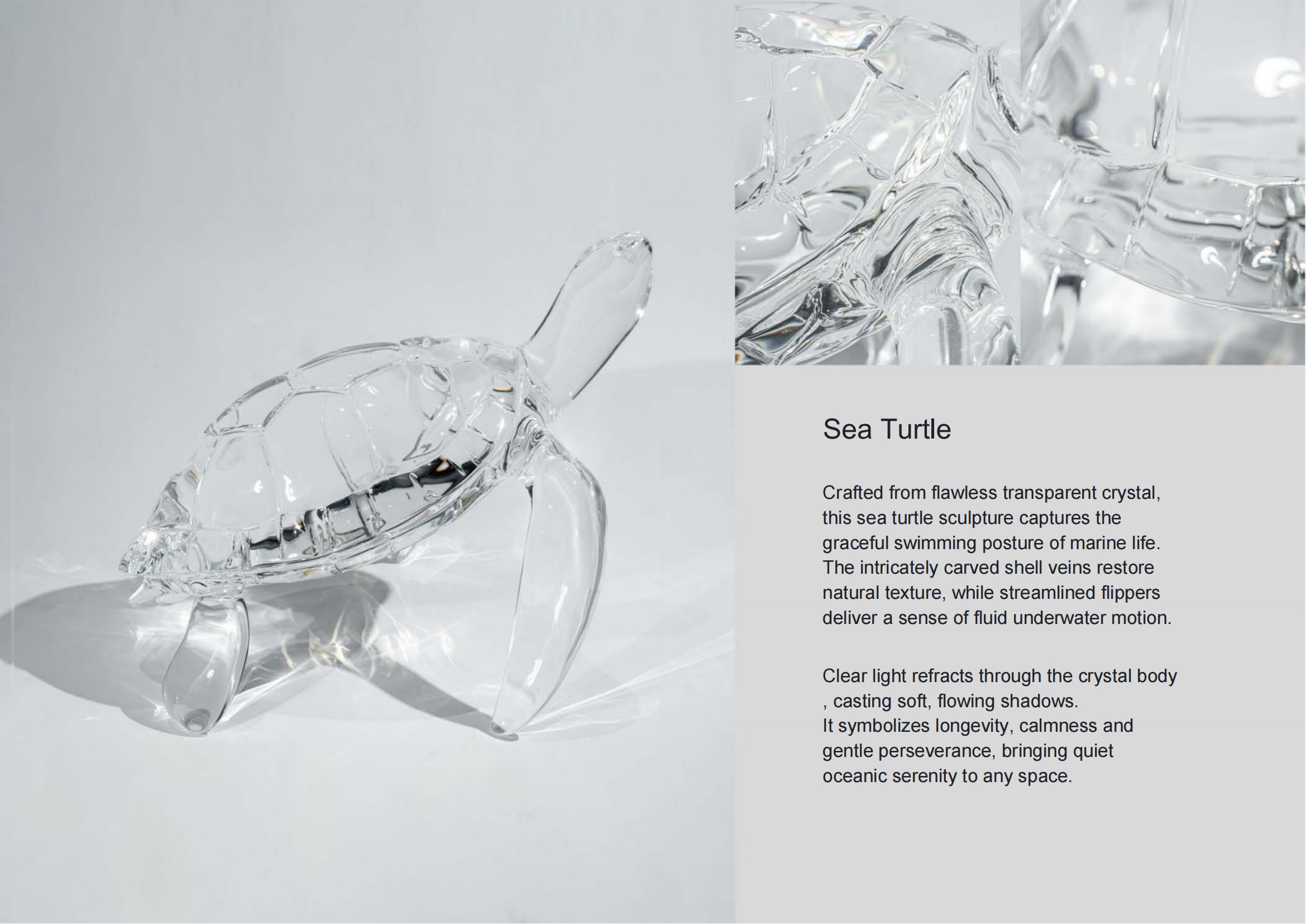 Sea Turtle